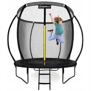 Великий садовий батут для дітей, драбина 244 см, захисна сітка. TRAMPOLINE 8FT фото
